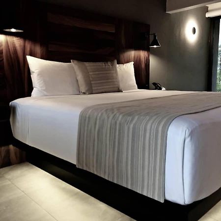 4 Charming Suite King Rooms In Luxurious Boutique Hotel San José del Cabo Dış mekan fotoğraf
